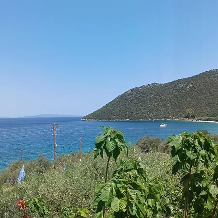 Appartement Zaritsi *