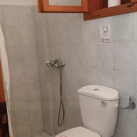 Zaritsi *