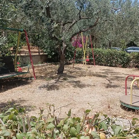 Zaritsi