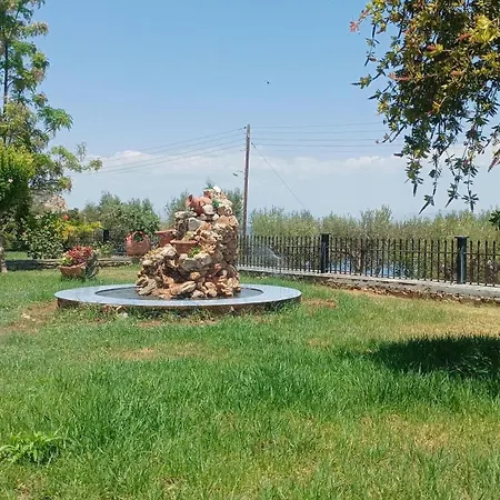 Zaritsi *