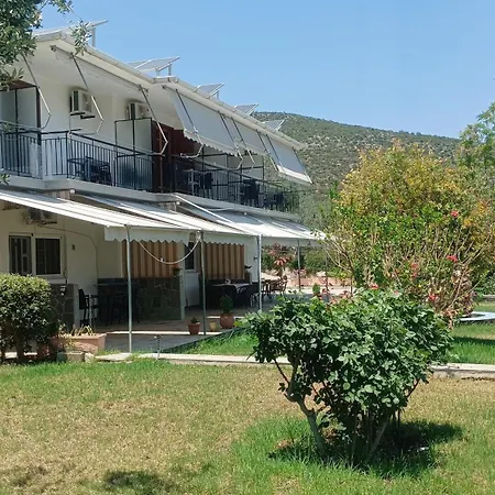 Zaritsi * Tirós