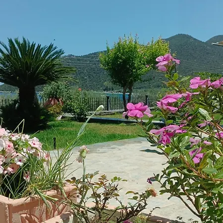 Zaritsi Apartment *