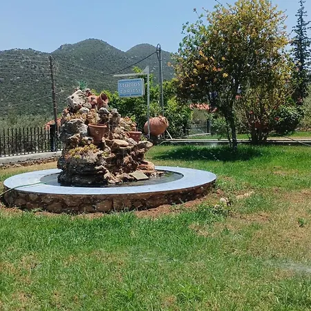 Zaritsi * Tirós