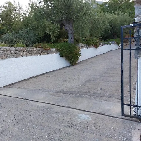 Zaritsi *