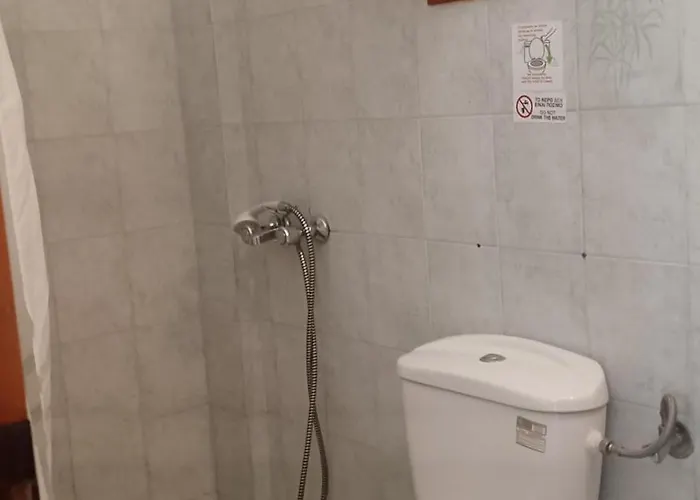 Zaritsi *