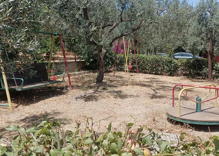 Zaritsi