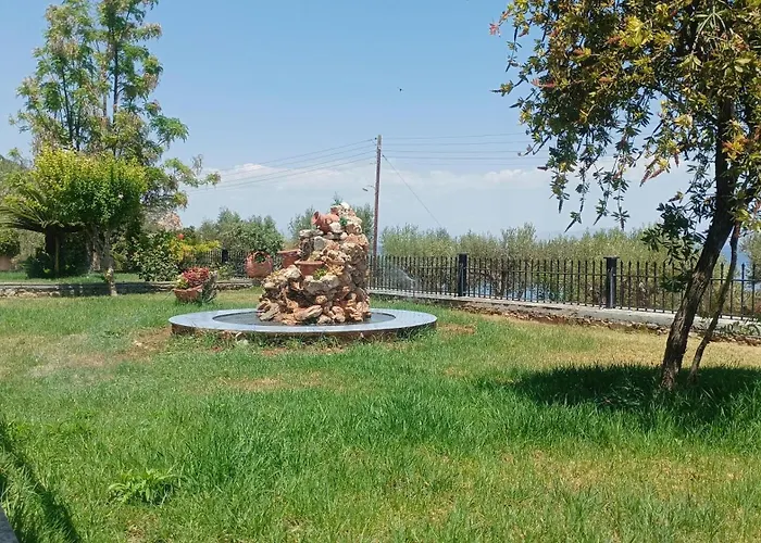 Zaritsi *
