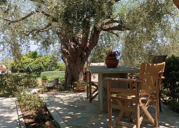 Zaritsi Appartement Tirós