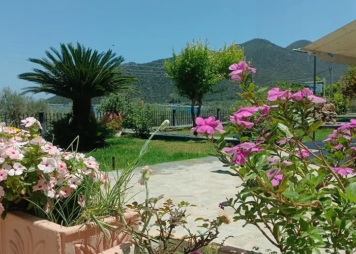 Zaritsi Appartement *