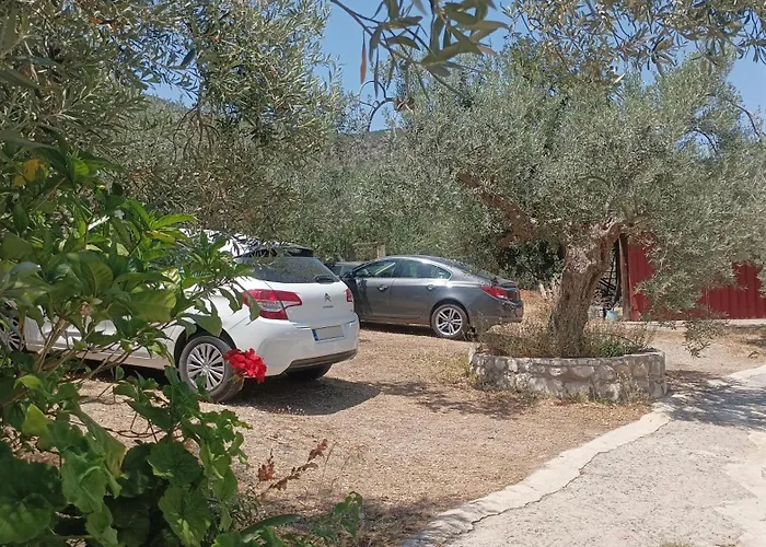 Zaritsi *