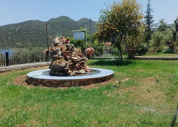 Zaritsi * Tirós